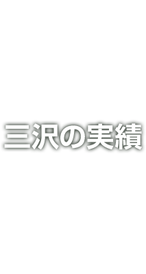 みさわの実績