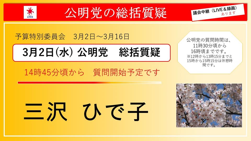 予算特別委員会の総括質疑